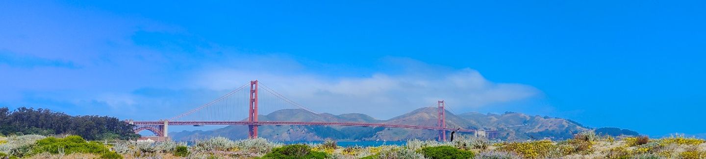 California Dreamin'