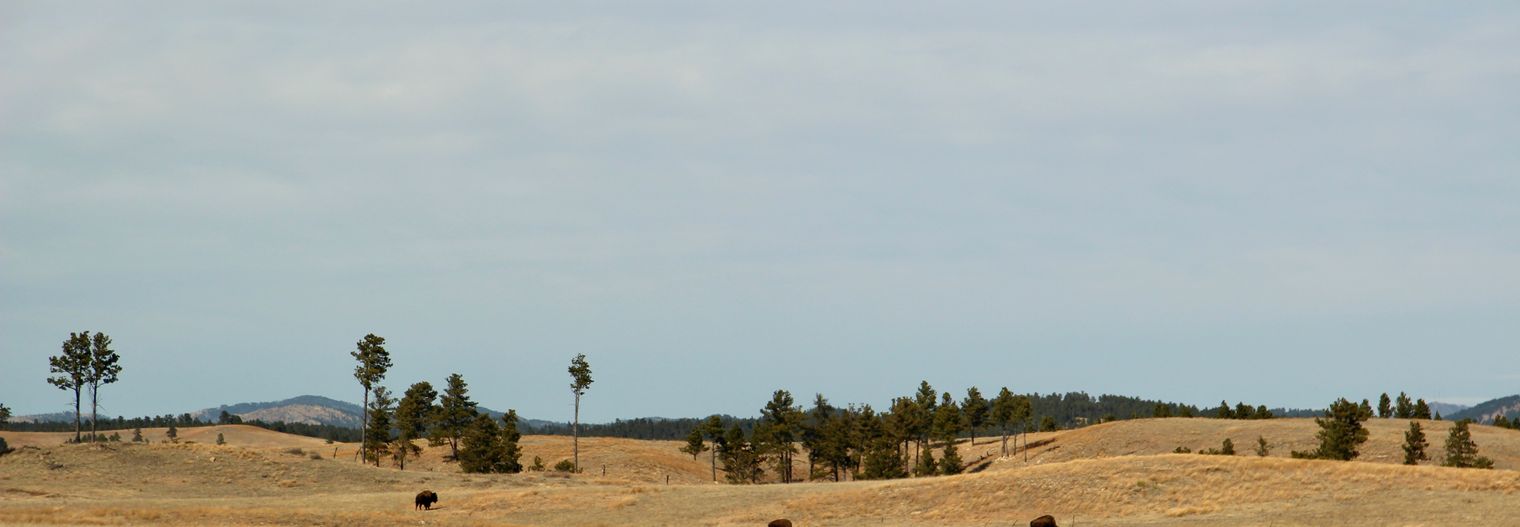 south-dakota/nationaalpark/wind-cave
