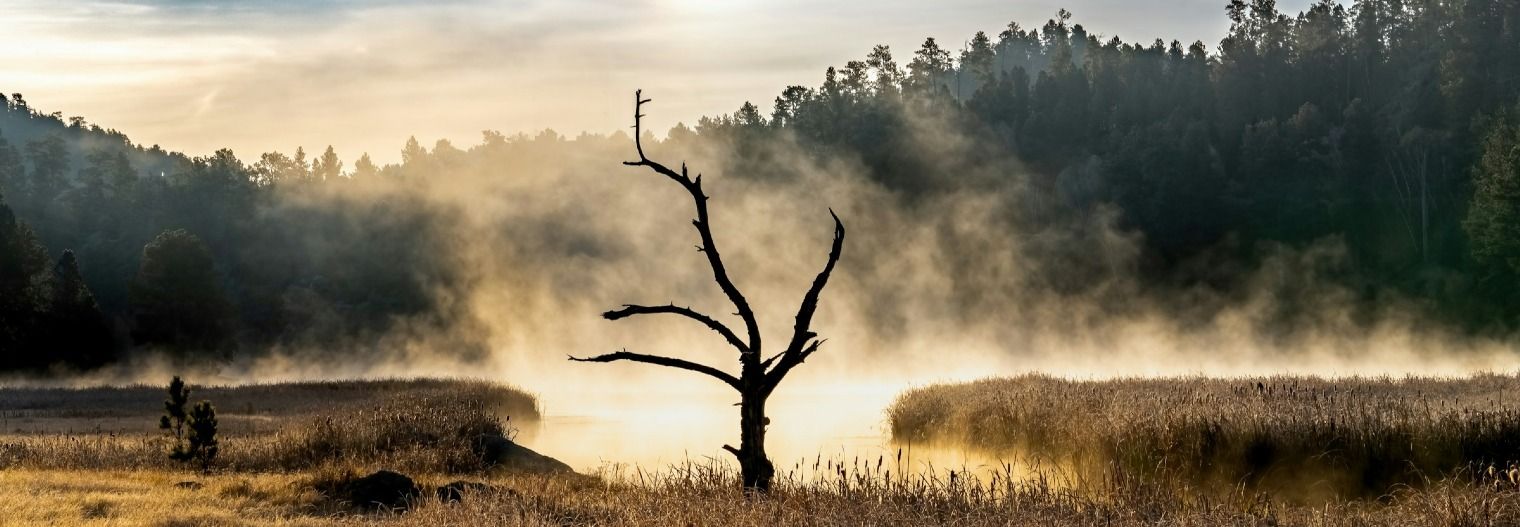 south-dakota/statepark/custer