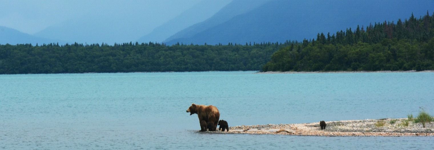 alaska/nationaalpark/katmai