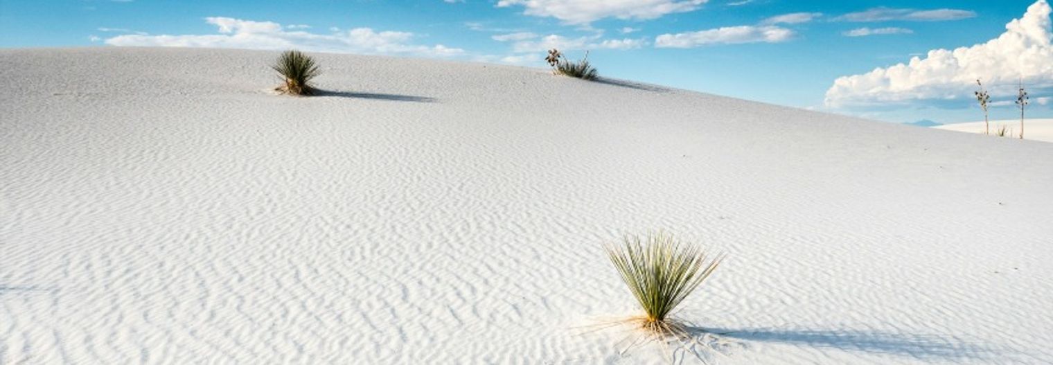 new-mexico/nationaalpark/white-sands