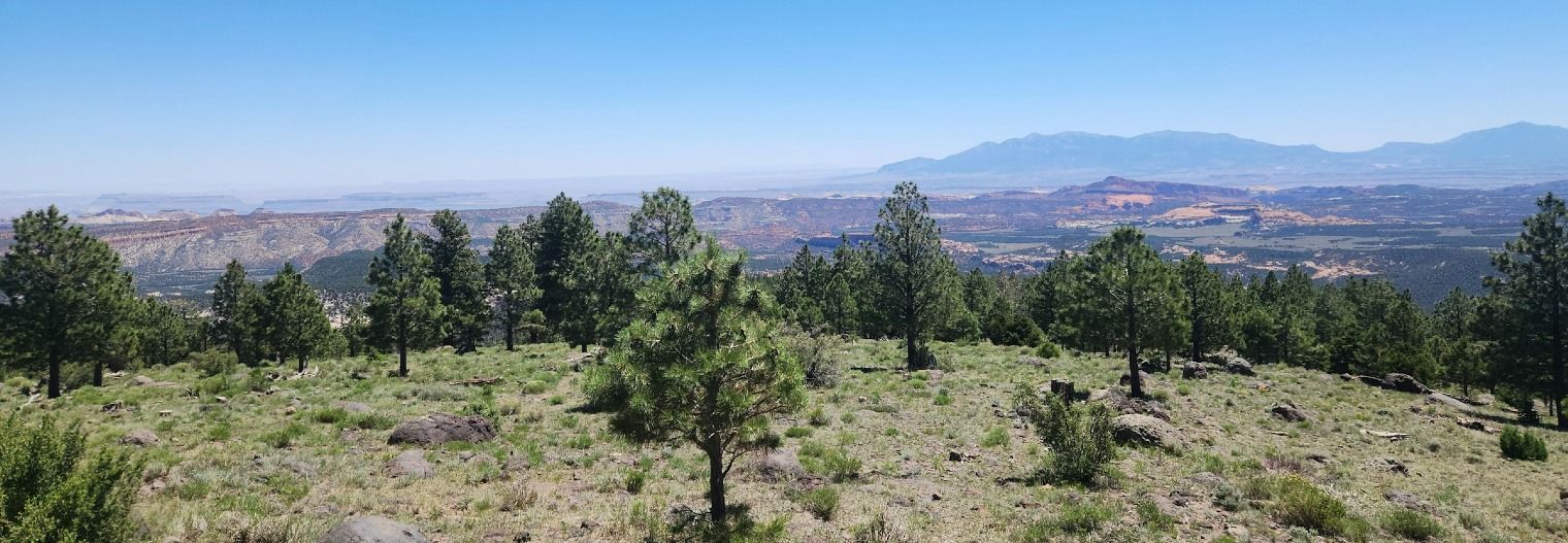 utah/nationaalpark/dixie