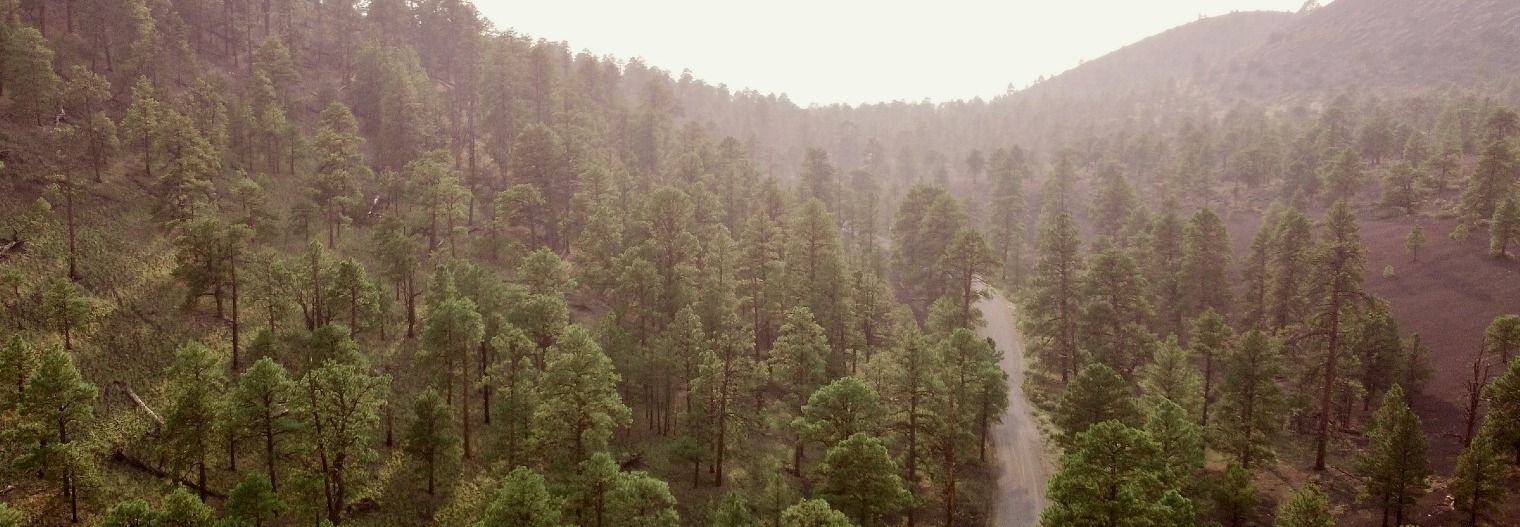 arizona/nationalforest/coconino