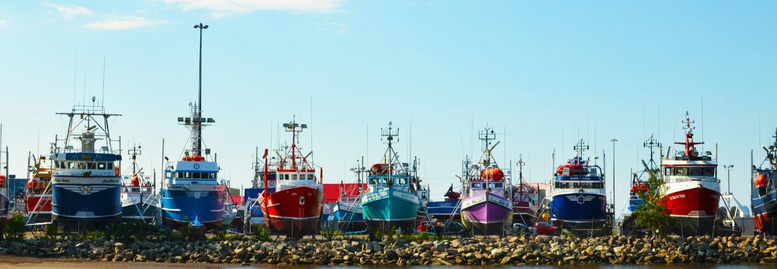 canada/new-brunswick