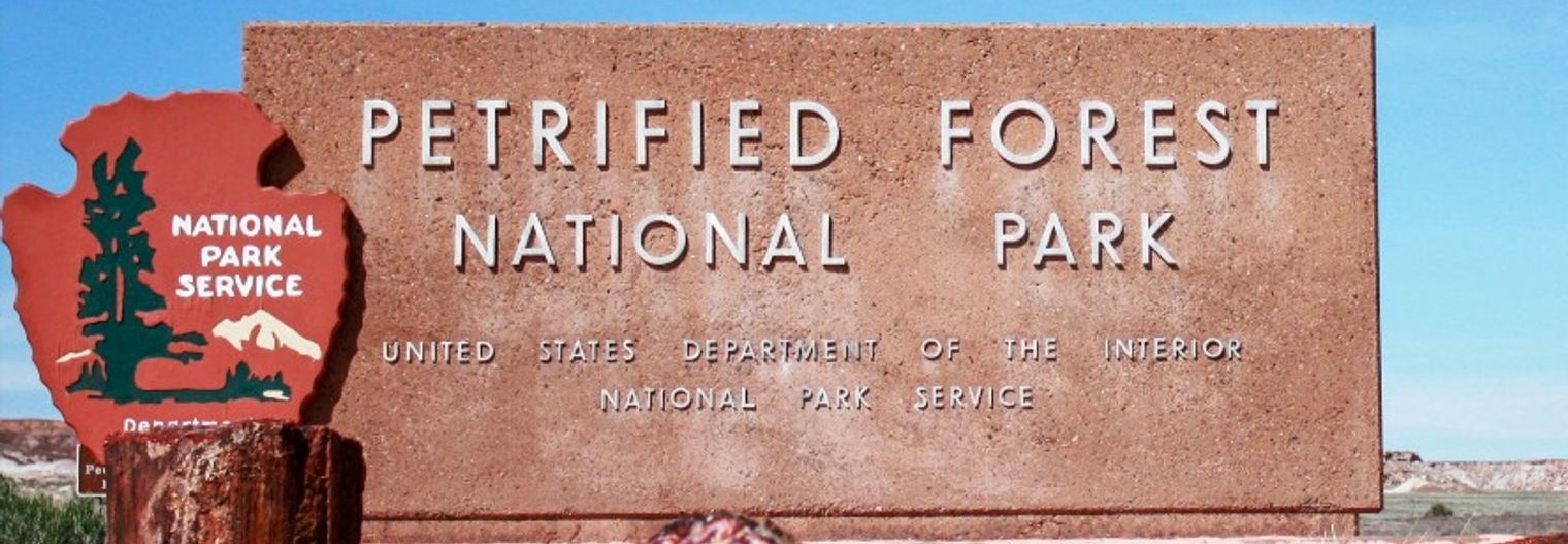 arizona/nationaalpark/petrified-forest