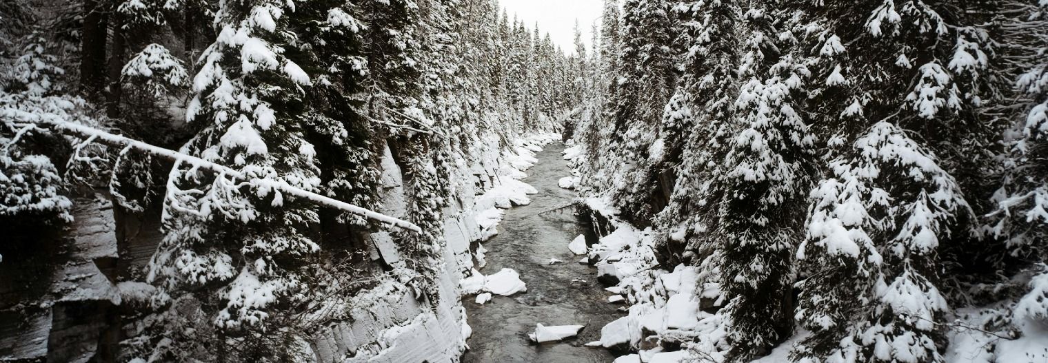 canada/british-columbia/nationaalpark/kootenay