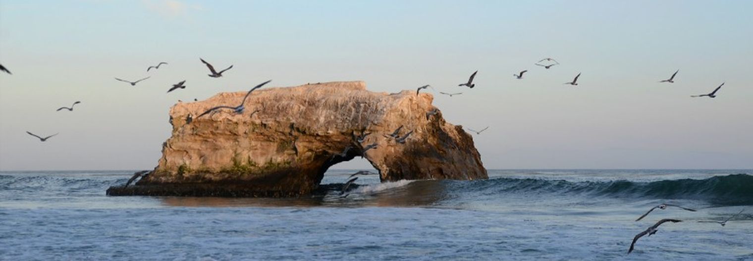 california/santacruz