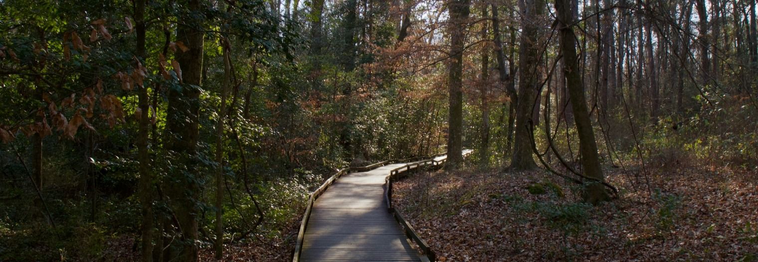 south-carolina/nationaalpark/congaree