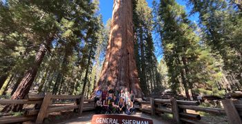 Sequoia NP en Kings Canyon