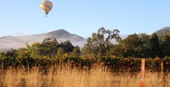 Napa Valley