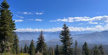Door de canyon naar Yosemite