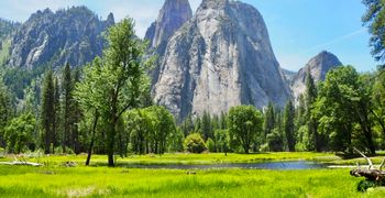 Yosemite National Park
