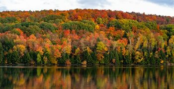 Green Mountain National Forest