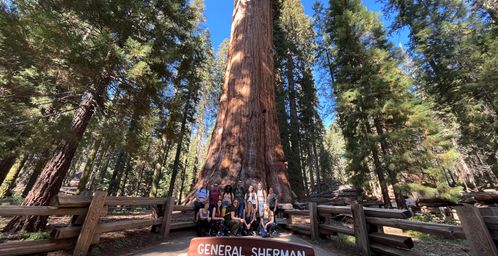Sequoia NP en Kings Canyon