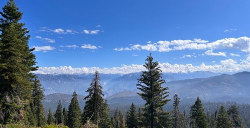 Door de canyon naar Yosemite