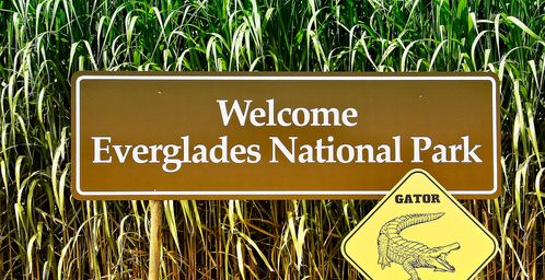 Everglades