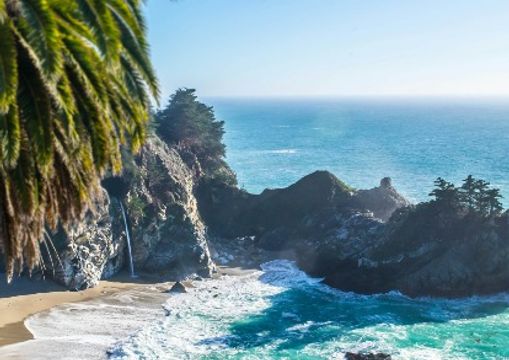 California Dreamin'